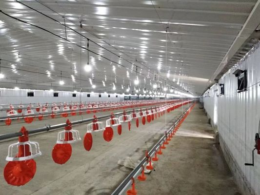 Struktur Baja Galvanis Rumah Unggas Coop Ayam Bangunan Pertanian Prefab Customized