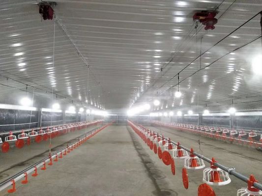 Galvanis Prefabrikasi Struktur Baja Rumah Unggas Rumah Ayam Coop tahan api