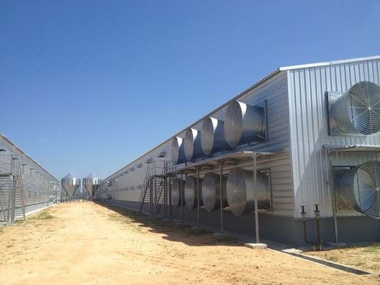 Struktur Baja Otomatis Gudang Peternakan Unggas Desain Rumah Ayam Modern