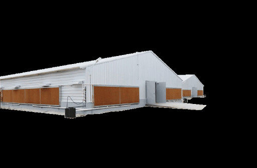 Broiler Unggas Rumah Prefab Struktur Baja Peralatan Peternakan Ayam Otomatis