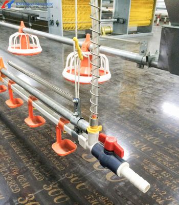 Perkebunan Ayam Baja Khusus, Bangunan Peternakan Kerangka Baja Ringan