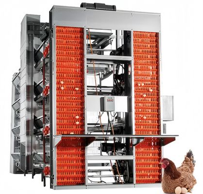 A Tipe Baterai Lapisan kandang ayam Alat pertanian ayam ayam otomatis